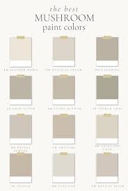 Paint Colors For Your Home Julie Blanner
