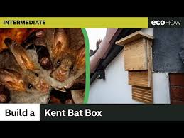 How To Make A Bat Box