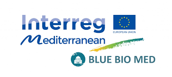 Good governance is not only related to government 2, but also involving stakeholders and the community. Cpmr Joins Blue Bio Med Project To Promote Better Governance Of Blue Bioeconomy Innovation Policies Cpmr