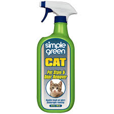 cat pet stain and odor remover