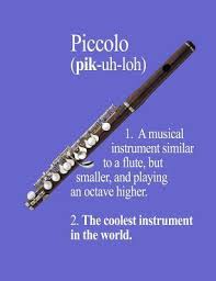 As a result, the piccolo often doubles the flute or the violin offering its sweet, high voice to add nuance to the orchestra. Piccolo The Coolest Instrument In The World By Not A Book