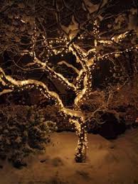 Fairy Lights Outdoor Tree