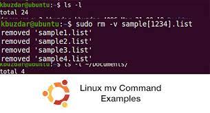 linux mv command exles