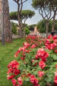 the munil rose garden in rome a