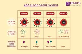 Blood Groups Abo Blood Group Rh Blood Group Systems Byjus