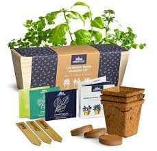 Indoor Windowsill Herb Garden Kit