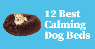 Looking for the best dog beds to reduce anxiety? 12 Best Calming Dog Beds With Buyer S Guide Dog Endorsed