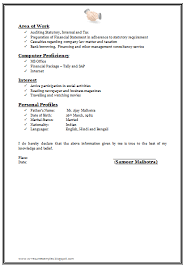 examples of resumes  Professional Resume Format For Freshers Engineers  Resume For    Amusing Professional Resume Template   pacq co