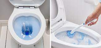 Remove Blue Stains From Toilet Seat