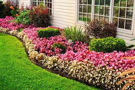 how to make a flower bed
