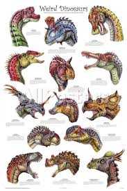 Laminated Weird Dinosaurs Educational Paleontology Science
