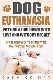 Each situation has its own personal story and set of sedation: Dog Euthanasia Putting A Dog Down With Love And Without Regret Kindle Edition By May Candice Crafts Hobbies Home Kindle Ebooks Amazon Com