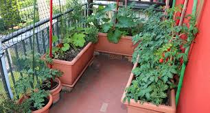Urban Balcony Gardening It S A Simple