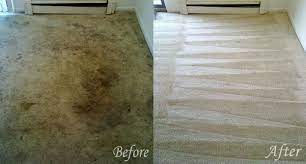 carpet cleaning machusetts