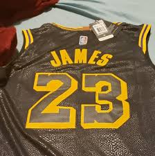Nwt lebron james 23… $54.96. Nike Shirts Lebron James Lakers Jersey Black Mamba Poshmark