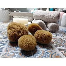 caribbean silk menstrual sponges 4