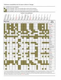 Pollination Chart Pecan Trees For Sale Pecan Tree Sales