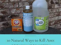 get rid of ants without toxic chemicals