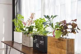 modern sprout planters create