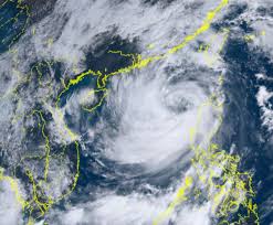 raise typhoon signal 8 storm warning
