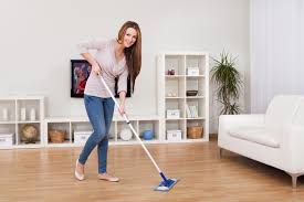 move in move out cleaning services dr