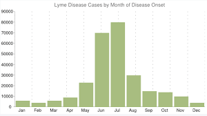 Lyme Disease Stephaniecavin