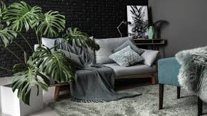 apartment with indoor plants