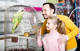 average cost to cremate a pet bird