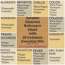 Image Result For Essential Oil Substitution Chart