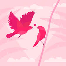 top 999 pink love birds wallpaper full