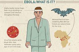 What does the ebola virus actually do in your body? The Return Of Ebola Read About The Potential Vaccine