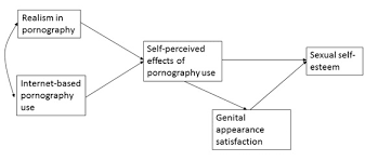 Cyberpsychology: Journal of Psychosocial Research on Cyberspace gambar png