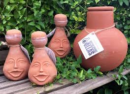 olla pots water your garden easily