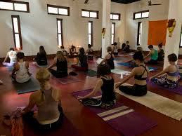 ashtanga yoga retreat in purple valley