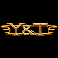 Image result for y & t