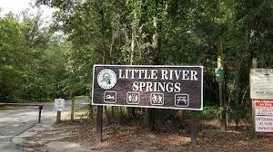 Little river springs is close to suwannee river. Little River Springs County Park Near Branford Florida Family Nature