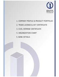 Bmts Company Introduction General Pages 1 50 Text