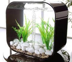 Home Small Aquarium Design gambar png