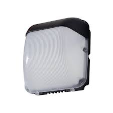 Robus Falcon 50w 5500k Led Wall Light