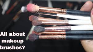 beginners guide to makeup brushes