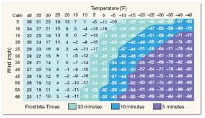 Solved Referring To Figure 5 Determine Wind Chill