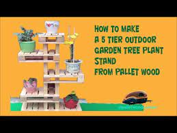 Plant Tree From Pallet Wood