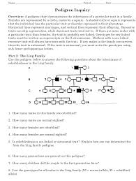 Dimples are an inherited trait autosomal 1. Pedigree Inquiry Biology Worksheet East Chapel Hill High School Download Printable Pdf Templateroller