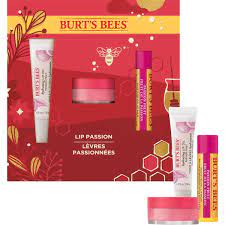 burt s bees lip pion gift set