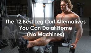 the 12 best leg curl alternatives you