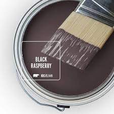 Black Raspberry Flat Exterior Paint