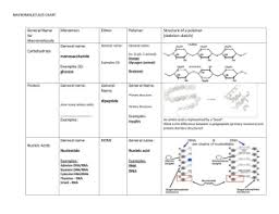 Guided Notes Macromolecules Name Objectives Identify