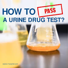 how to p a urine test best
