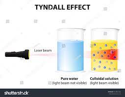 tyndall effect colloidal solution light