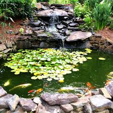 how to make a beautiful goldfish pond